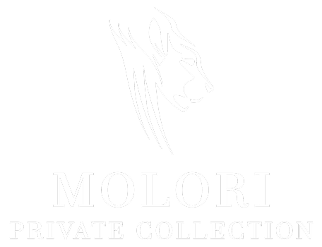 Molori Logo